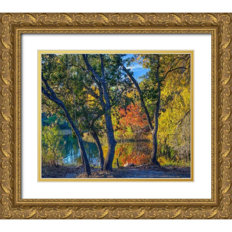 Inks Lake-Inks Lake State Park-Texas Gold Ornate Wood Framed Art Print with Double Matting by Fitzharris, Tim