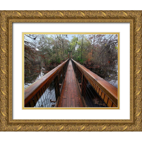 Santa Fe River-OLeno State Park-Florida Gold Ornate Wood Framed Art Print with Double Matting by Fitzharris, Tim