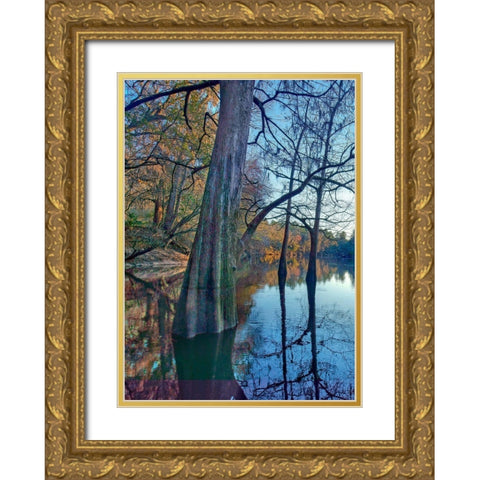 Suwanee River-Suwanee River State Park-Florida Gold Ornate Wood Framed Art Print with Double Matting by Fitzharris, Tim