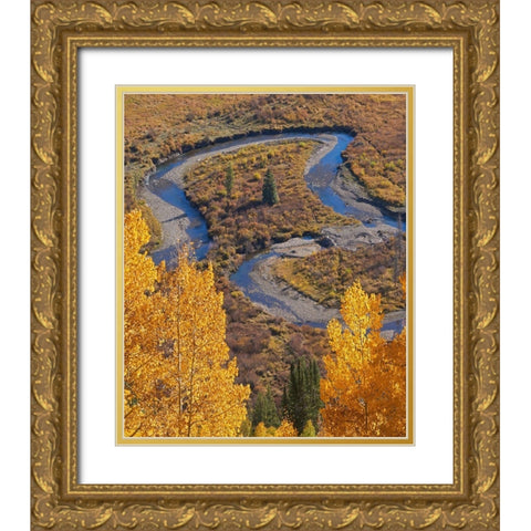 East River near Gothic-Colorado Gold Ornate Wood Framed Art Print with Double Matting by Fitzharris, Tim