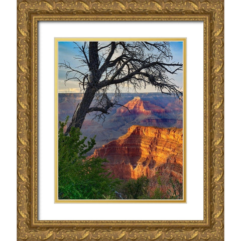 Sagittarius Ridge from Pima Point-Grand Canyon National Park-Arizona Gold Ornate Wood Framed Art Print with Double Matting by Fitzharris, Tim