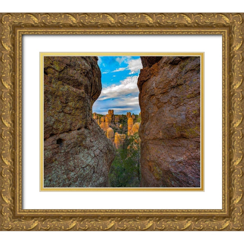 Grotto at Echo Canyon Trail-Chiricahua National Monument-Arizona Gold Ornate Wood Framed Art Print with Double Matting by Fitzharris, Tim