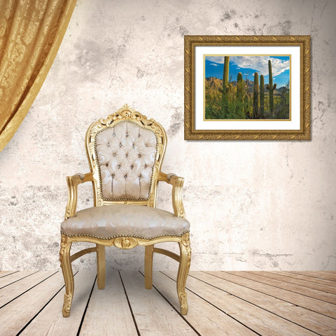 Saguaro Cacti and Santa Catalina Mountains at Catalina State Park-Arizona Gold Ornate Wood Framed Art Print with Double Matting by Fitzharris, Tim
