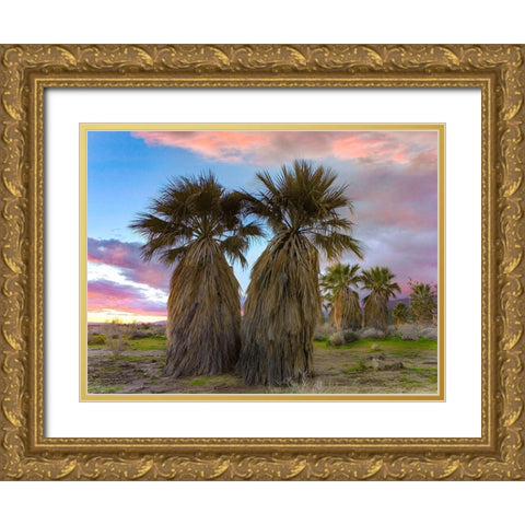 Fan Palms-Anza Borrego Desert-California Gold Ornate Wood Framed Art Print with Double Matting by Fitzharris, Tim