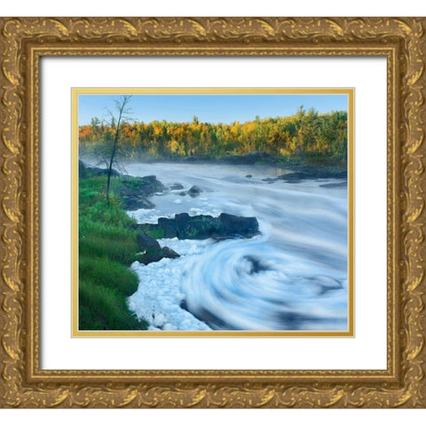 St Louis River-Jay Cooke State Park ,Minnesota. Gold Ornate Wood Framed Art Print with Double Matting by Fitzharris, Tim