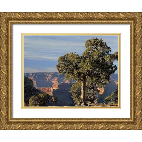 Hermits Rest-South Rim of Grand Canyon National Park-Arizona Gold Ornate Wood Framed Art Print with Double Matting by Fitzharris, Tim