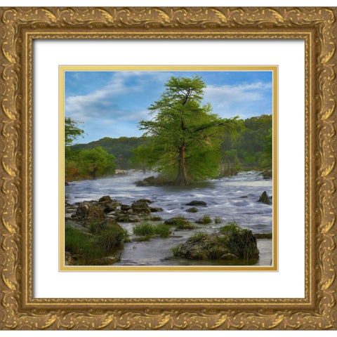Pedernales River-Pedernales Falls State Park-Texas Gold Ornate Wood Framed Art Print with Double Matting by Fitzharris, Tim