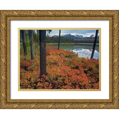 Sawtooth National Recreation Area-Idaho Gold Ornate Wood Framed Art Print with Double Matting by Fitzharris, Tim