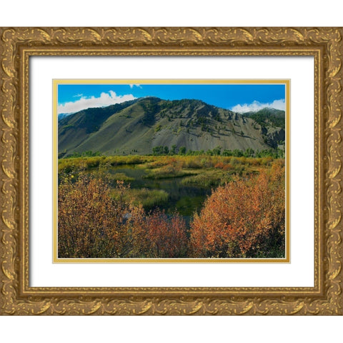 Boulder Mountains and Trail Creek beaver pond in autumn-Idaho Gold Ornate Wood Framed Art Print with Double Matting by Fitzharris, Tim