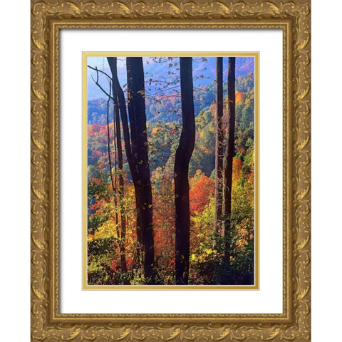 Blue Ridge Parkway near Deep Gap-North Carolina Gold Ornate Wood Framed Art Print with Double Matting by Fitzharris, Tim