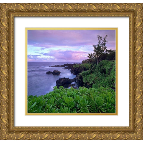 Hana Coast Maui Gold Ornate Wood Framed Art Print with Double Matting by Fitzharris, Tim