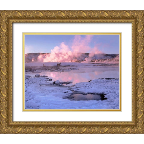 Elk in snow-Lower Geyser Basin-Yellowstone National Park-Wyoming Gold Ornate Wood Framed Art Print with Double Matting by Fitzharris, Tim