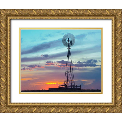 Windmil near Marble Falls-Texas Gold Ornate Wood Framed Art Print with Double Matting by Fitzharris, Tim