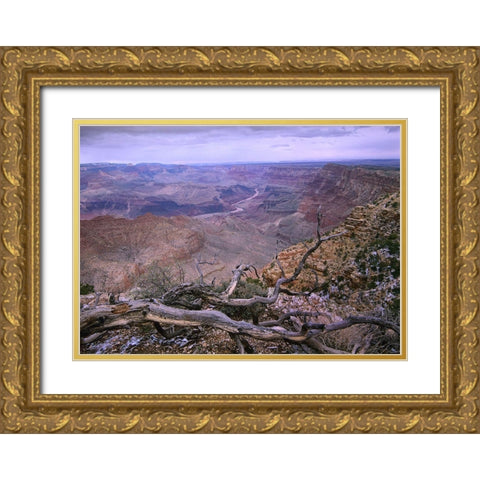 Colorado River from Desert View-Grand Canyon National Park-Arizona Gold Ornate Wood Framed Art Print with Double Matting by Fitzharris, Tim