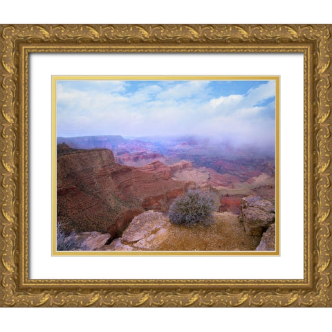 Moran Point-South Rim-Grand Canyon National Park-Arizona Gold Ornate Wood Framed Art Print with Double Matting by Fitzharris, Tim