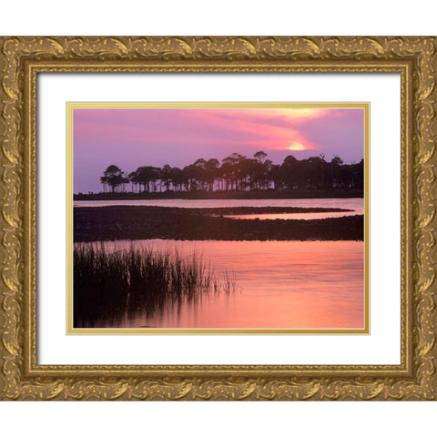 Saint George Island State Park-Saint George Island-Florida Gold Ornate Wood Framed Art Print with Double Matting by Fitzharris, Tim