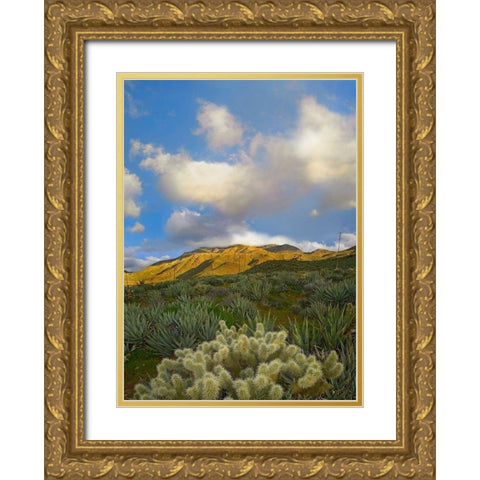 Cholla Cactus and Agaves-Mason Valley-California Gold Ornate Wood Framed Art Print with Double Matting by Fitzharris, Tim