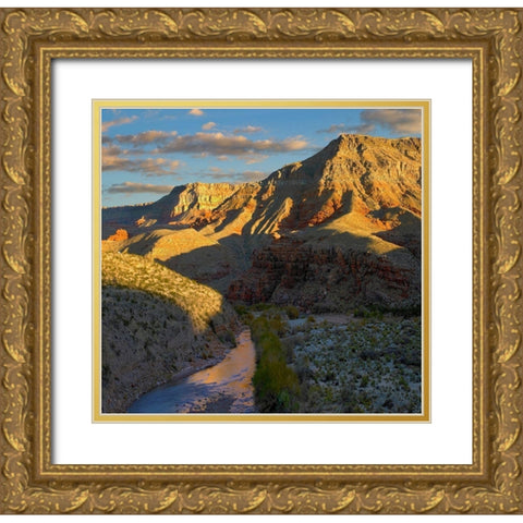 Virgin River and Virgin Mountains-Arizona Gold Ornate Wood Framed Art Print with Double Matting by Fitzharris, Tim