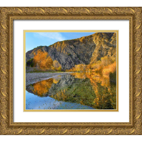 Santa Ynez Mountains Reflected in Santa Ynez River-California Gold Ornate Wood Framed Art Print with Double Matting by Fitzharris, Tim