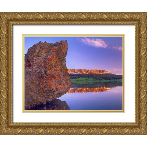 Breccia Cliffs and Brooks Lake-Wyoming Gold Ornate Wood Framed Art Print with Double Matting by Fitzharris, Tim
