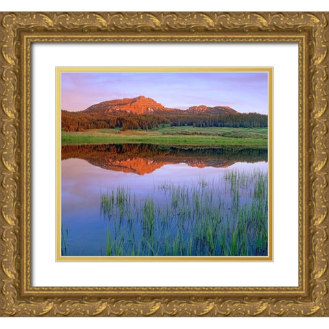 Tripod Peak at Togwotee Pass-Wyoming Gold Ornate Wood Framed Art Print with Double Matting by Fitzharris, Tim