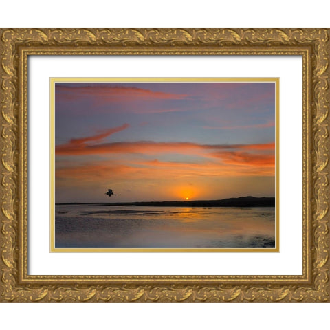 Great Blue Heron at Mustang Island-Texas Gold Ornate Wood Framed Art Print with Double Matting by Fitzharris, Tim