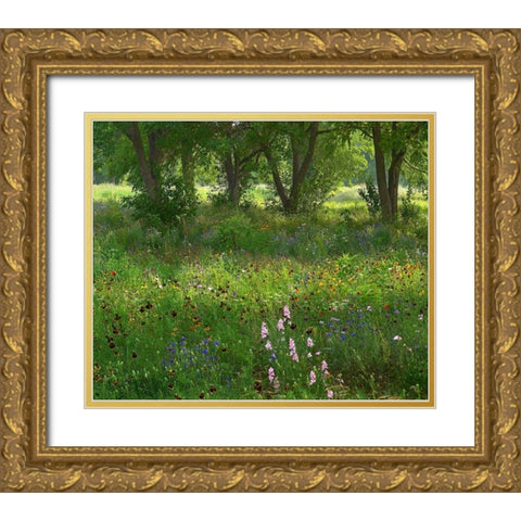 Wildflower Meadow at Jacksonport State Park-Arkansas Gold Ornate Wood Framed Art Print with Double Matting by Fitzharris, Tim