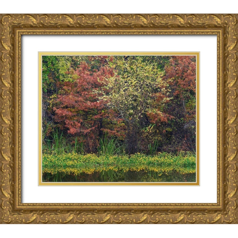 Wilton Landing-Millwood Lake-Arkansas Gold Ornate Wood Framed Art Print with Double Matting by Fitzharris, Tim