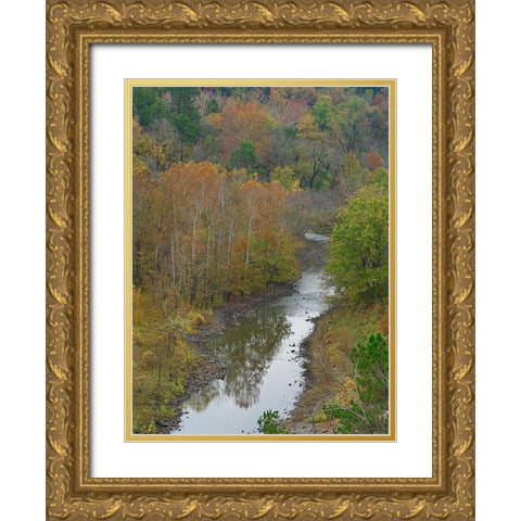 Cassatot River near Millwood Lake-Arkansas Gold Ornate Wood Framed Art Print with Double Matting by Fitzharris, Tim