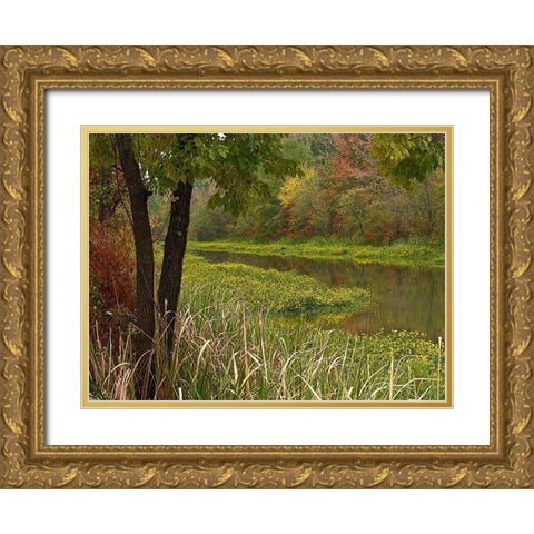 Wilton Landing at Millwood Lake-Arkansas Gold Ornate Wood Framed Art Print with Double Matting by Fitzharris, Tim