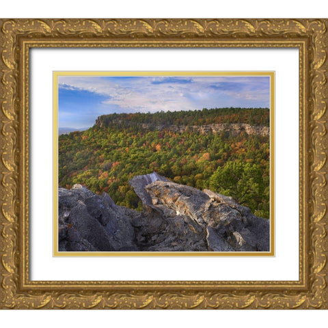 Cedar Canyon at Palisades Overlook-Petit Jean State Park-Arkansas Gold Ornate Wood Framed Art Print with Double Matting by Fitzharris, Tim