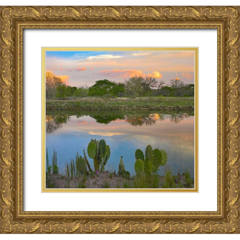 South Llano River State Park-Texas. Gold Ornate Wood Framed Art Print with Double Matting by Fitzharris, Tim