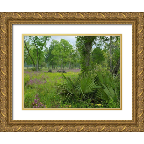 Big Thicket National Preserve-Lance Rosier-Texas Gold Ornate Wood Framed Art Print with Double Matting by Fitzharris, Tim