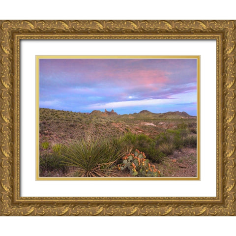Mule Ears Peaks-Big Bend National Park-Texas Gold Ornate Wood Framed Art Print with Double Matting by Fitzharris, Tim