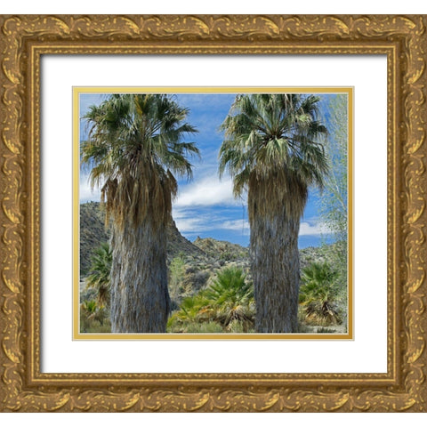 Cottonwood Springs-Joshua Tree National Park-California Gold Ornate Wood Framed Art Print with Double Matting by Fitzharris, Tim