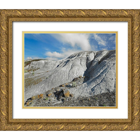 Rainbow Forest-Petrified Forest National Park-Arizona Gold Ornate Wood Framed Art Print with Double Matting by Fitzharris, Tim