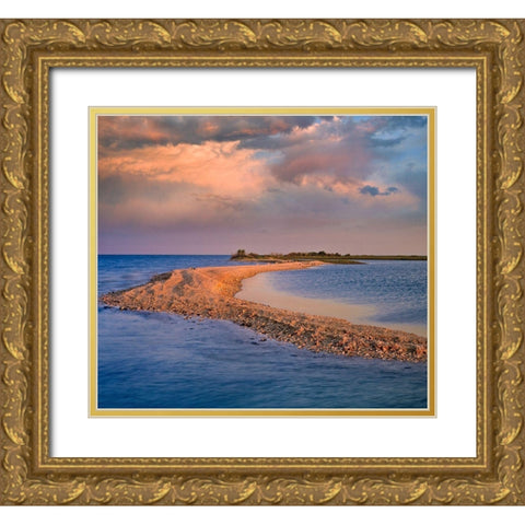 Oystercatcher Point near Rockport-Texas Gold Ornate Wood Framed Art Print with Double Matting by Fitzharris, Tim