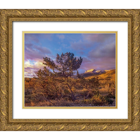 Flathead Range-Montana Gold Ornate Wood Framed Art Print with Double Matting by Fitzharris, Tim