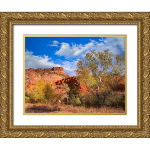 Sorensen Point-Palo Duro Canyon State Park-Texas Gold Ornate Wood Framed Art Print with Double Matting by Fitzharris, Tim