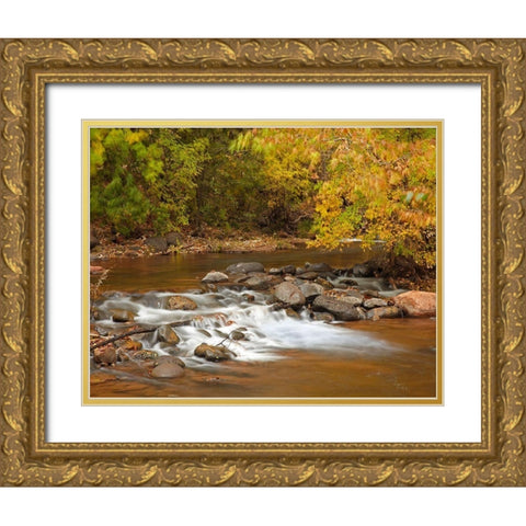 Oak Creek in autumn near Sedona-Arizona Gold Ornate Wood Framed Art Print with Double Matting by Fitzharris, Tim