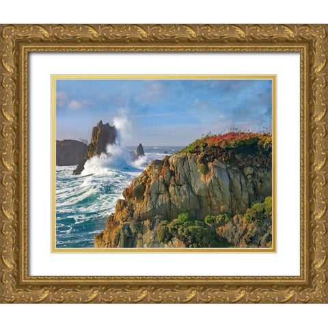 Pounding Waves at Piedras Blancas-California Gold Ornate Wood Framed Art Print with Double Matting by Fitzharris, Tim