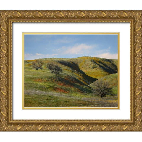 La Panza Range in Spring-Califonia Gold Ornate Wood Framed Art Print with Double Matting by Fitzharris, Tim