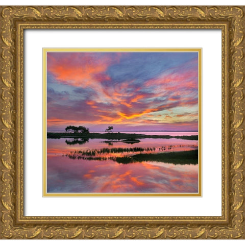 Padre Island National Seashore-Texas-USA Gold Ornate Wood Framed Art Print with Double Matting by Fitzharris, Tim