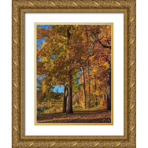 Tyler Lake State Park-Texas Gold Ornate Wood Framed Art Print with Double Matting by Fitzharris, Tim