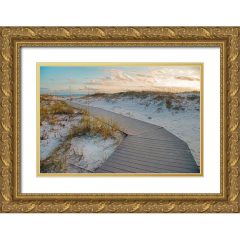 Boardwalk at Gulf Islands National Seashore-Florida Gold Ornate Wood Framed Art Print with Double Matting by Fitzharris, Tim