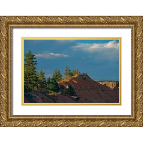 Sunset Point-Bryce Canyon National Park-Utah Gold Ornate Wood Framed Art Print with Double Matting by Fitzharris, Tim