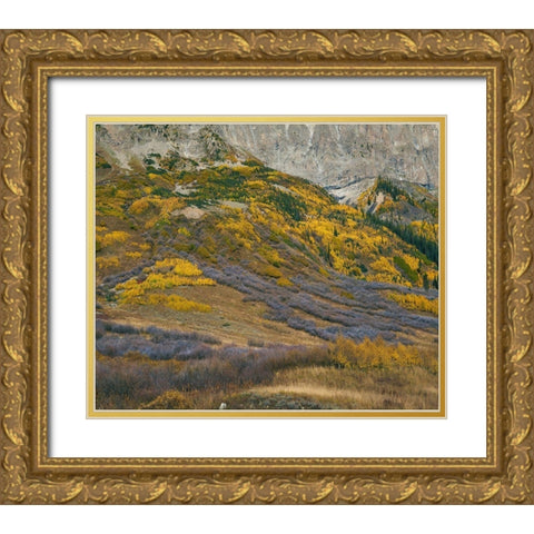 Sub-alpine Forest-Gothic Mountain-Colorado Gold Ornate Wood Framed Art Print with Double Matting by Fitzharris, Tim