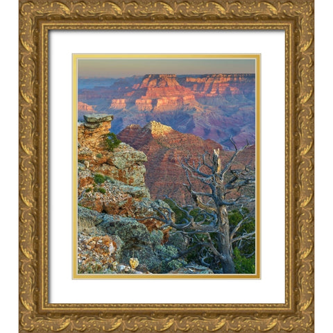 Desert View Overlook-Grand Canyon National Park-Arizona-USA Gold Ornate Wood Framed Art Print with Double Matting by Fitzharris, Tim