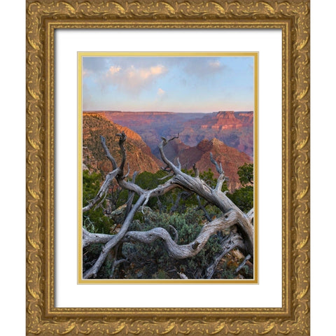 Desert View Overlook-Grand Canyon National Park-Arizona-USA Gold Ornate Wood Framed Art Print with Double Matting by Fitzharris, Tim