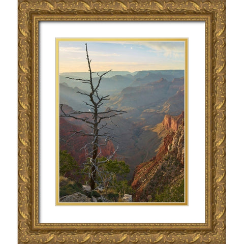 The Abyss from near Mohave point-Grand Canyon National Park-Arizona Gold Ornate Wood Framed Art Print with Double Matting by Fitzharris, Tim